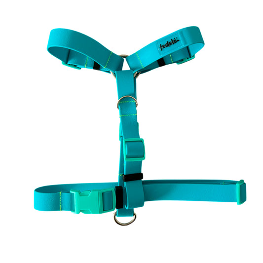 ARNES PAW PROOF AZUL MARINO