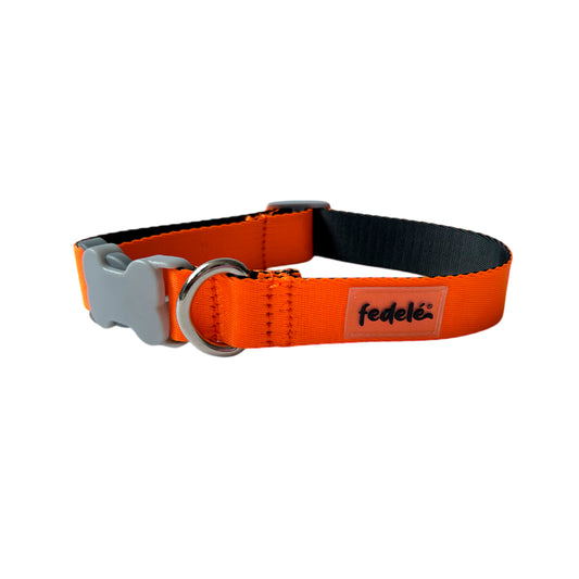 COLLAR BASIC NARANJA-NEGRO
