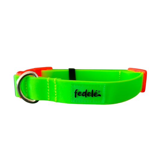 COLLAR PAW PROOF VERDE LIMON