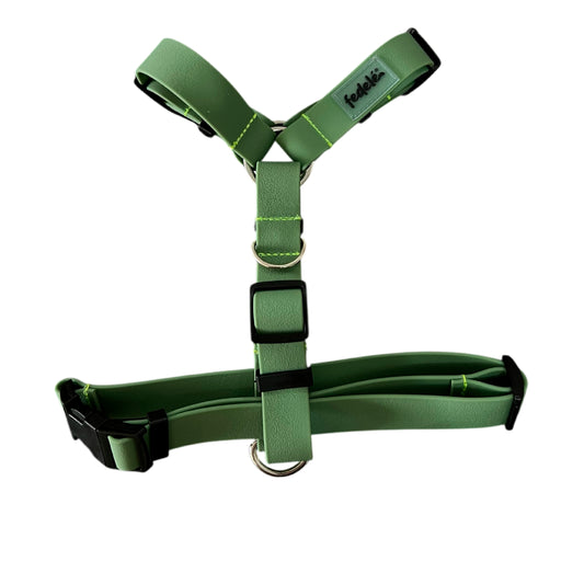 ARNES PAW PROOF MILITAR