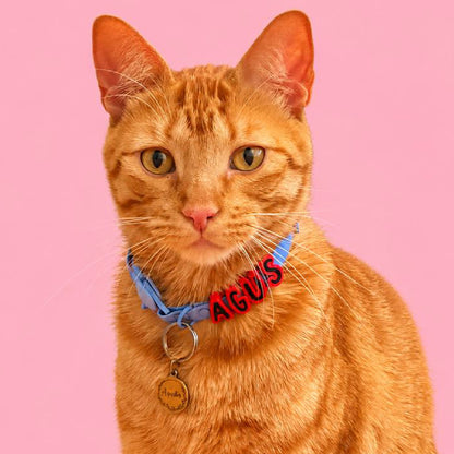 Collar en Goma Personalizado con Charms Deluxe Gato