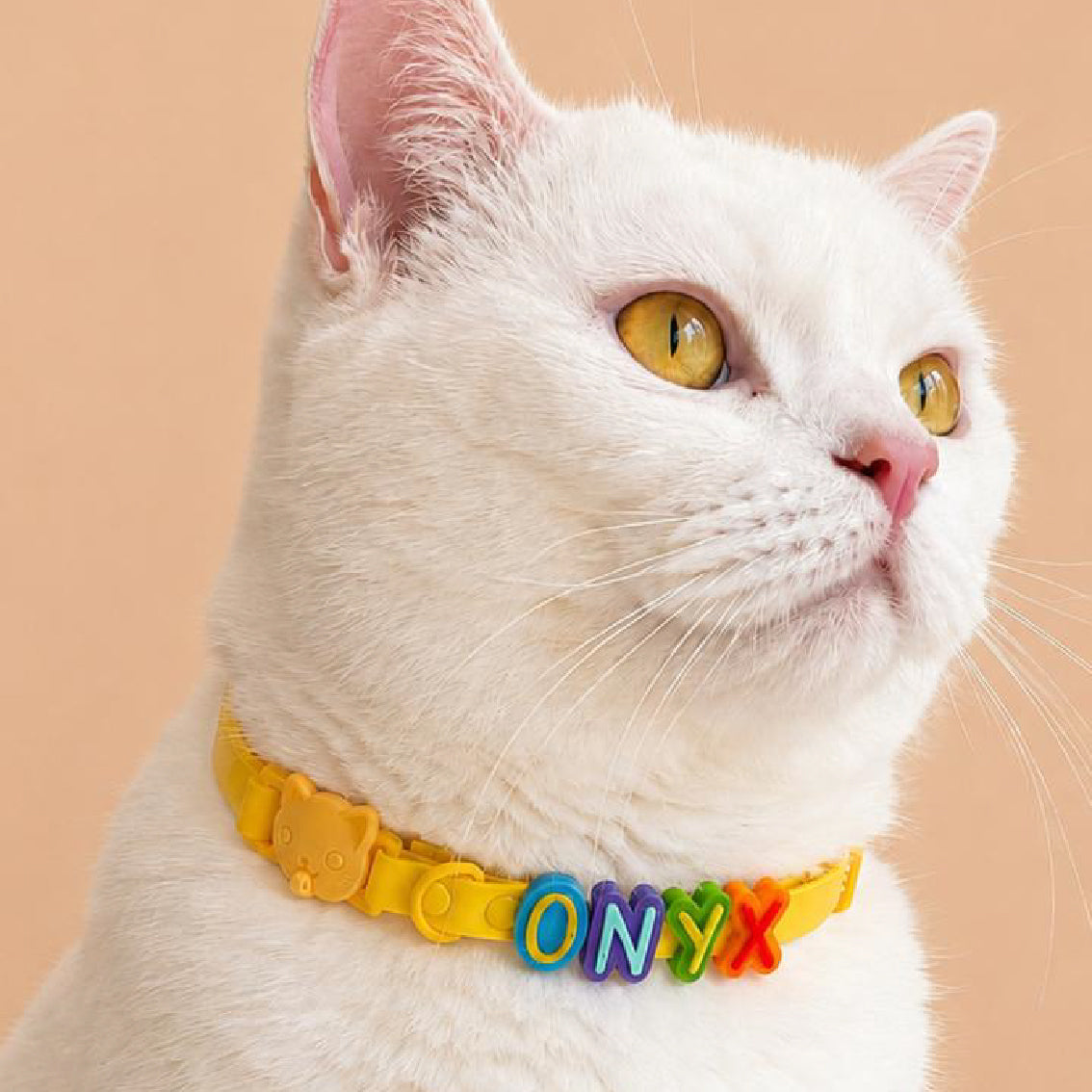 Collar en Goma Personalizado con Charms Deluxe Gato
