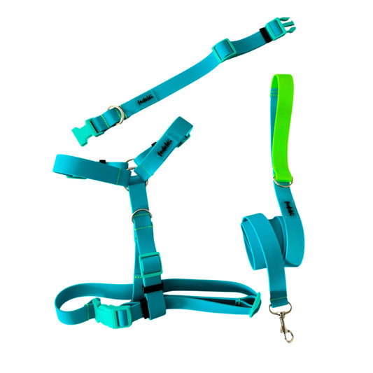 COMBO PAWPROOF AZUL MARINO