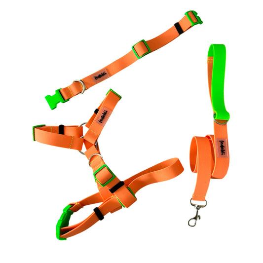 COMBO PAW PROOF NARANJA