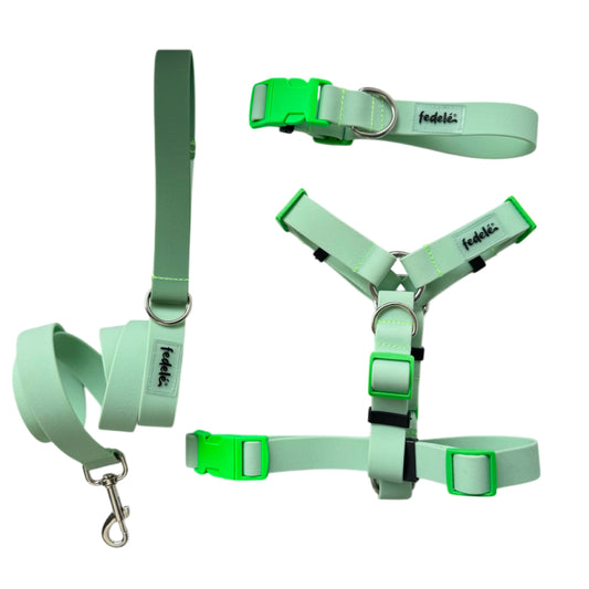 COMBO PAW PROOF VERDE CLARO