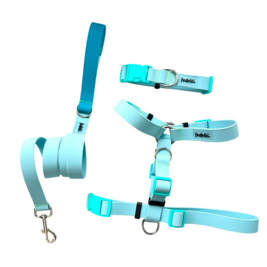 COMBO PAW PROOF AZUL CIELO