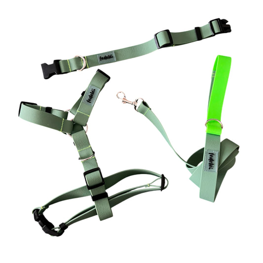COMBO PAW PROOF MILITAR