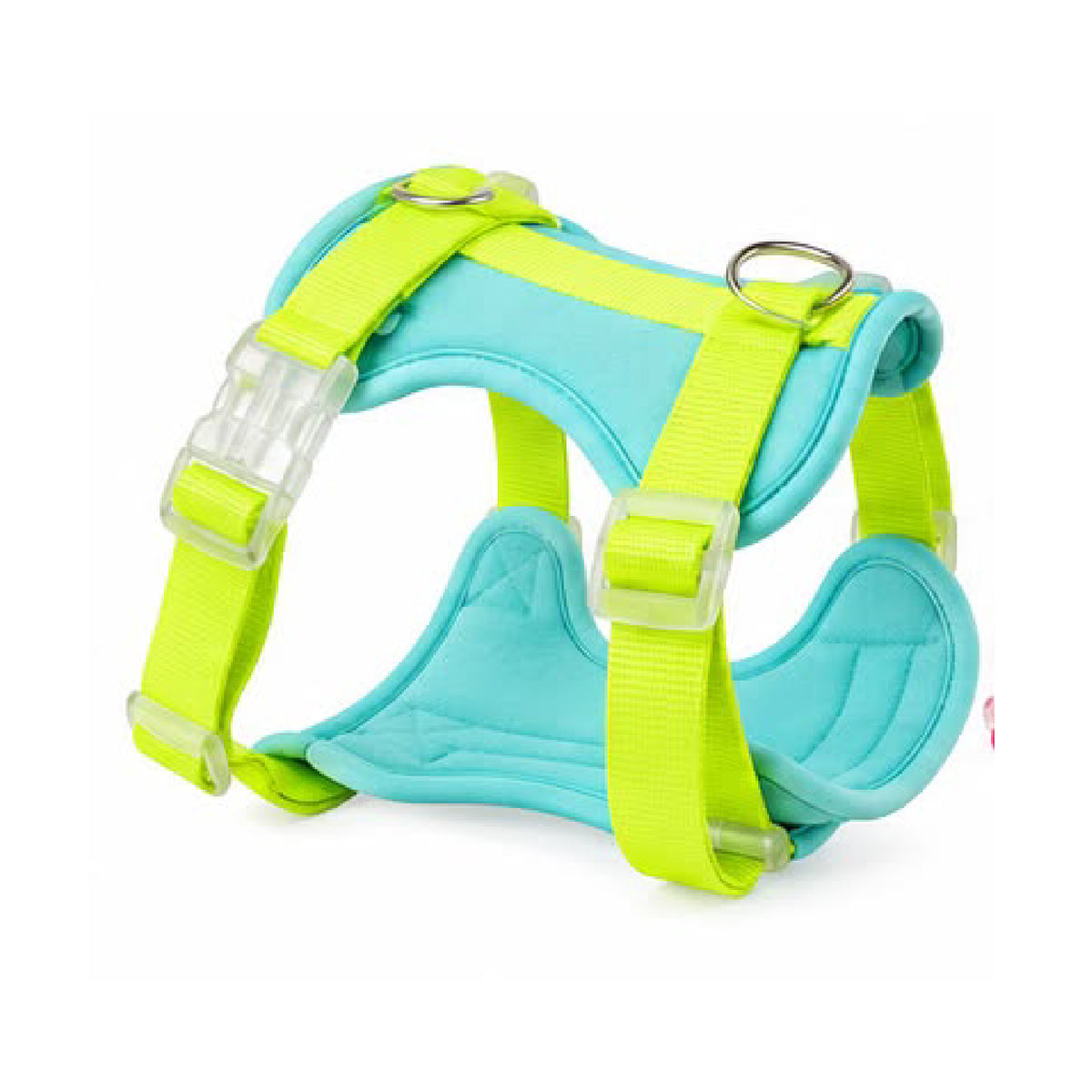 PECHERA AGUA NEON