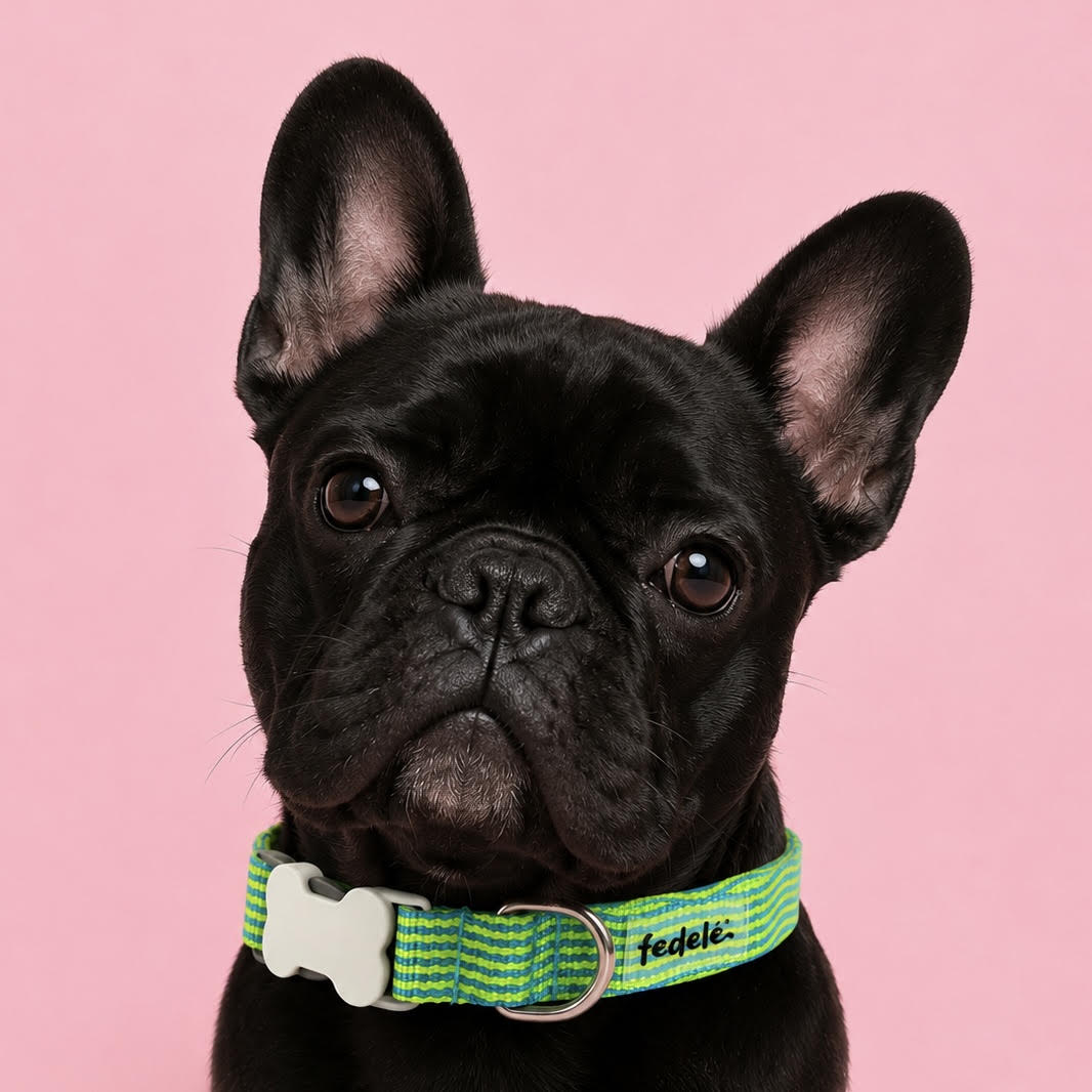 COLLAR REATA CLASSIC RAYAS (DONA X COLOMBIA)