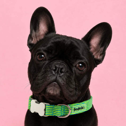 COLLAR REATA CLASSIC RAYAS (DONA X COLOMBIA)