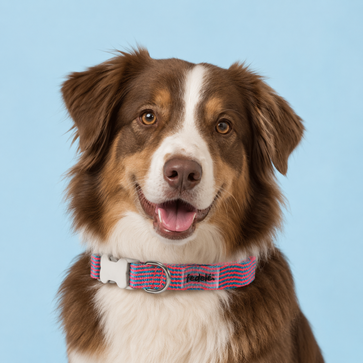 COLLAR REATA CLASSIC RAYAS (DONA X COLOMBIA)